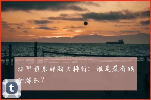 法甲俱乐部财力排行:谁是最有钱的球队?