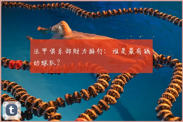 法甲俱乐部财力排行:谁是最有钱的球队?